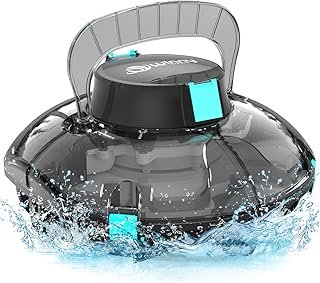 winny-pool-cleaner